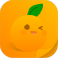 橘子小说