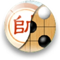 棋类大师
