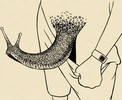 另类搞怪的非主流微信头像 世界是扭曲的吗