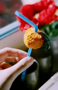 隔着眼泪看世界 整个世界都在哭