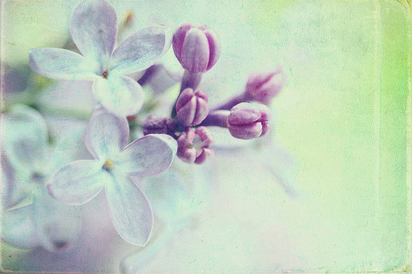 很多人 不需要再见