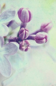 很多人 不需要再见