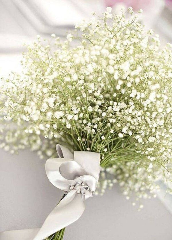 满天星微信唯美图片  满天星的花语是甘愿当配角