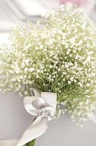 满天星微信唯美图片  满天星的花语是甘愿当配角