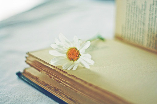 与书籍有关的唯美伤感意境美图  谁也阻止不了流水的时光