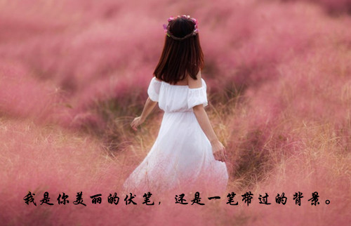 微信背影女生图片  背影里的淡淡伤感