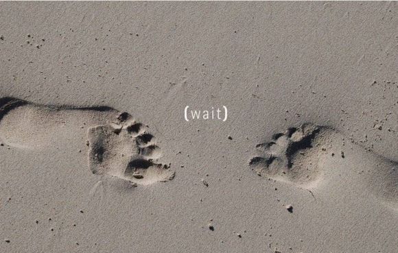 一抹暖色调小清新图片  鱼儿的记忆只有七秒