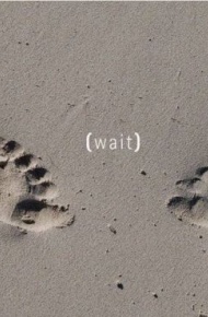 一抹暖色调小清新图片  鱼儿的记忆只有七秒