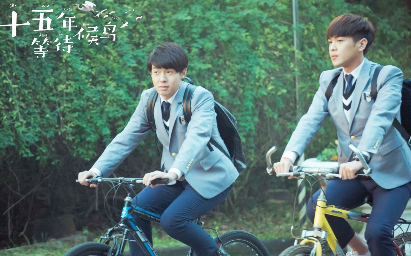 《十五年等待候鸟》微信高清图片 候鸟归来