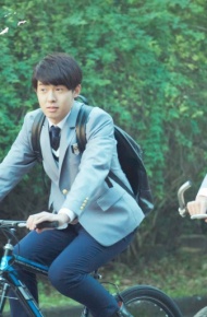 《十五年等待候鸟》微信高清图片 候鸟归来