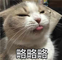 喵星人暴走微信表情包 小婊砸还不去铲屎