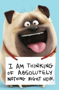 《爱宠大机密》动画电影微信图片 呆萌可爱！