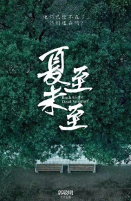 夏至未至电视剧海报唯美微信图片 你期待男女主角是谁