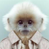 微信动物头人身的个性另类头像 每个人出生的时候都是原创