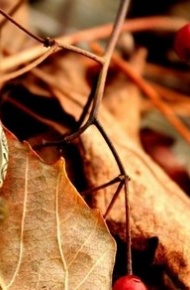 时间流逝的微信高清图片 光阴似箭