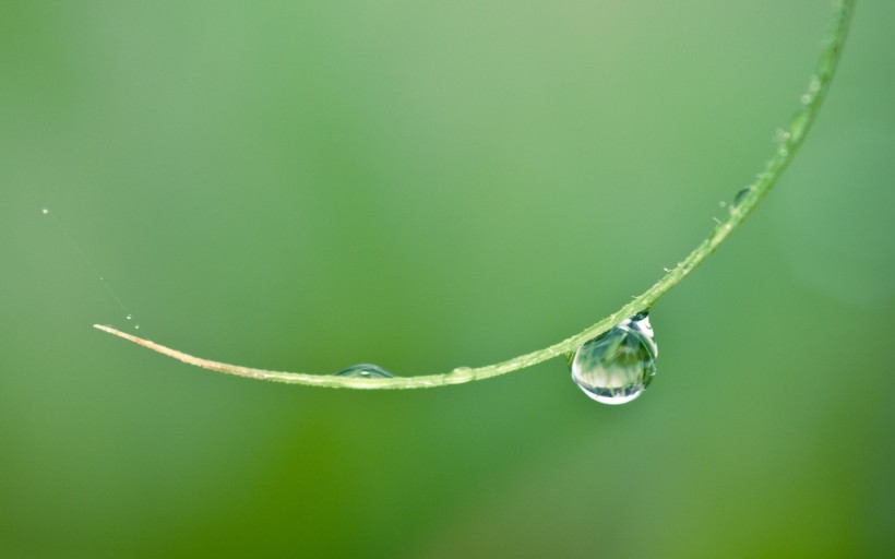 唯美小小水珠微信高清图片 雨露均占