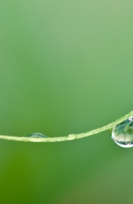 唯美小小水珠微信高清图片 雨露均占