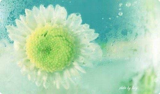 唯美意境微信高清图片