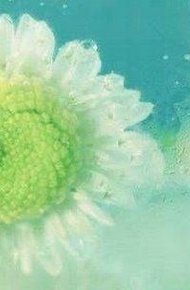 唯美意境微信高清图片