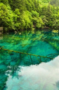 四川九寨沟风景微信高清图片 被世人誉为“童话世界”