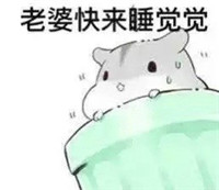 hamham仓鼠微信表情包老公老婆全套 仓鼠情侣专用表情包最新