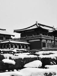 西安唯美意境雪景图片大全 一下雪西安就成了长安