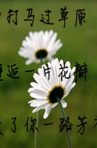 伤感的个性最美三行文字情书 哭到微笑为止,才不会一直伤到自己