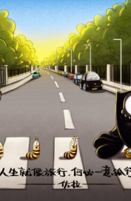 可爱治愈系猫头鹰佐拉卖萌图 分享动漫猫头鹰佐拉再次来袭