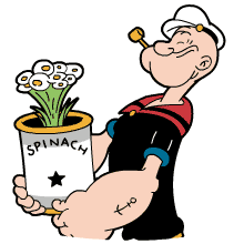 大力水手动态表情包