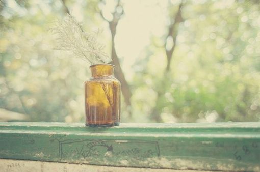 温馨生活多彩的意境美图 我不要你为了助我，而舍己所需