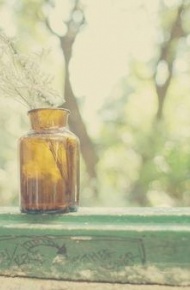 温馨生活多彩的意境美图 我不要你为了助我，而舍己所需