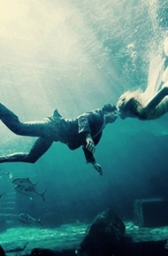 深海美景个性风景大图美腻了 爱如桥梁，把心通向了五湖四海