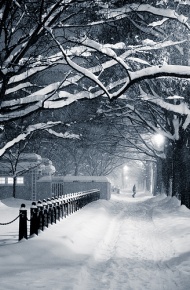 如梦幻的冬日雪景图片 如果非要二选一，那就保你弃我好了