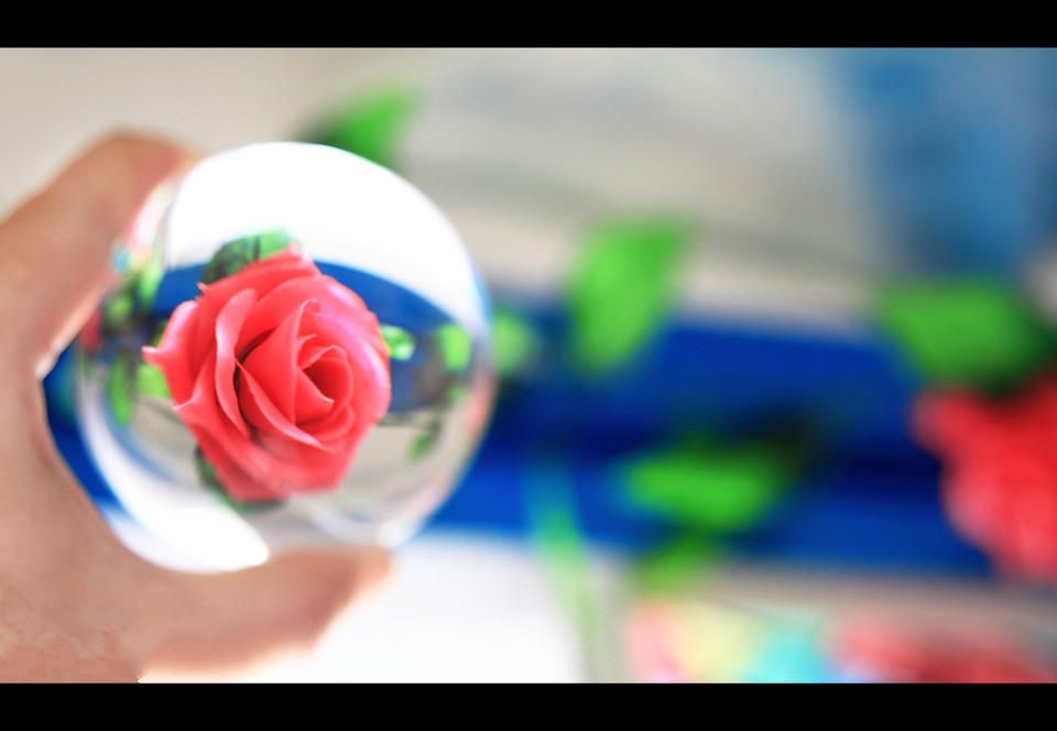 唯美小清新旧时光图片 风筝有风，海豚有海，我的存在在你之外