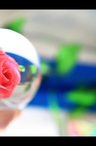 唯美小清新旧时光图片 风筝有风，海豚有海，我的存在在你之外