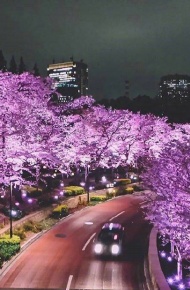 日本东京街景素材图片