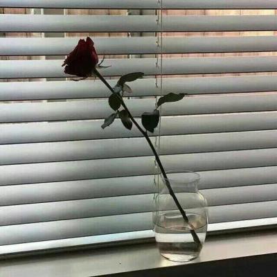 安.微信风景静物头像