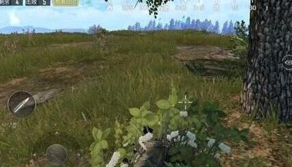 刺激战场怎么发育？