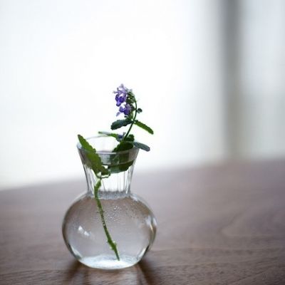 简单清新风景微信头像