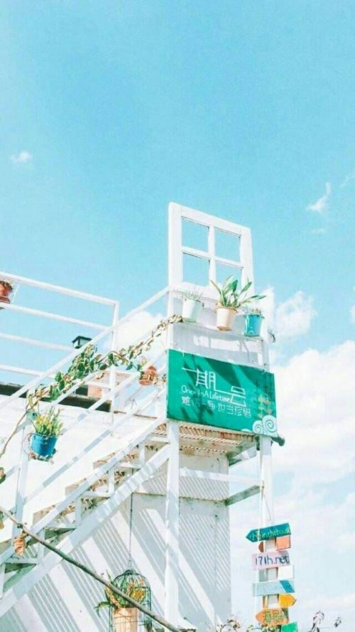 唯美意境小清新微信图片