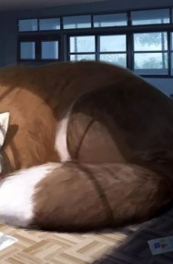 被放大后的动物治愈满满是不是呢？微信图片