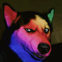 微信动态闪光表情包