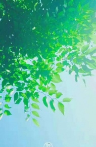 微信唯美绿色护眼聊天背景