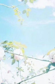 微信唯美个性花朵朋友圈配图