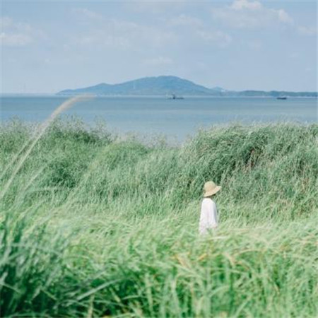 微信小清新唯美风景朋友圈配图