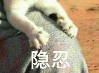 微信日常吸猫斗图表情包