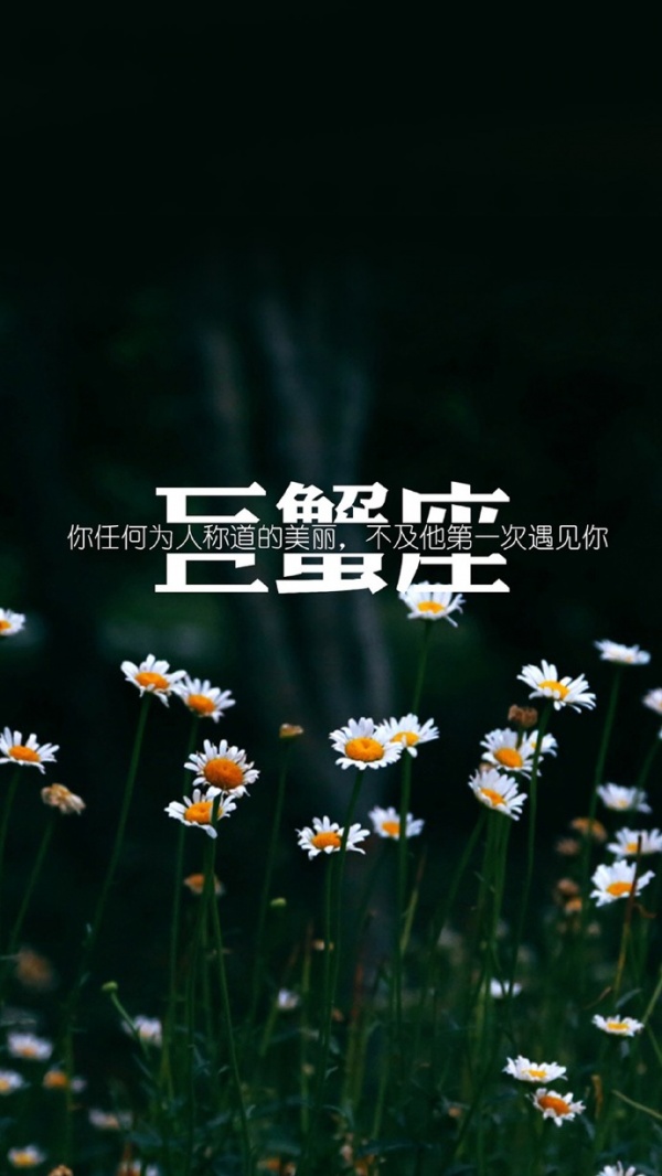 微信最新个性星座聊天背景