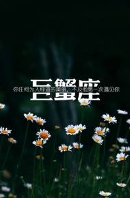 微信最新个性星座聊天背景