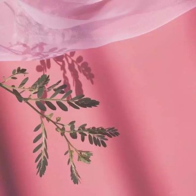 微信唯美粉嫩风景静物头像