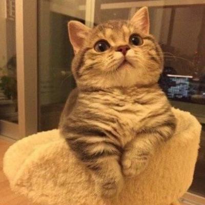 微信非主流恶搞头像